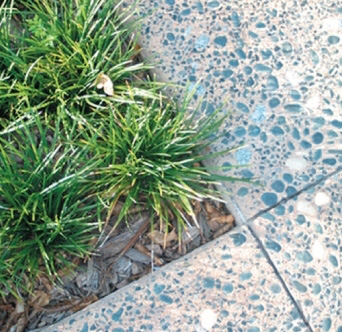 SERRATA Landscape Architects